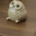 ユーザ写真