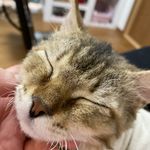 ユーザ写真