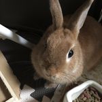 ユーザ写真