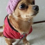 ユーザ写真