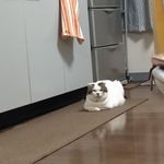 ユーザ写真