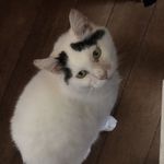 ユーザ写真