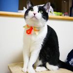 ユーザ写真