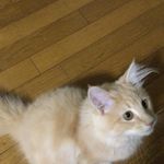 ユーザ写真