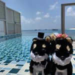 ユーザ写真