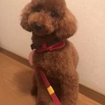 ユーザ写真