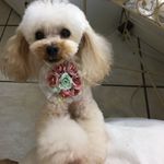 ユーザ写真