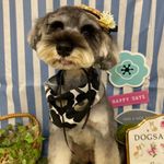 ユーザ写真
