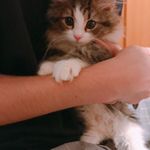 ユーザ写真