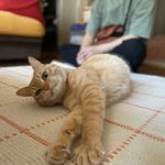 ユーザ写真