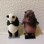 ユーザ写真