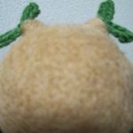 ユーザ写真