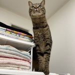 ユーザ写真