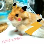 ユーザ写真
