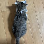ユーザ写真