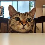 ユーザ写真