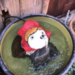 ユーザ写真