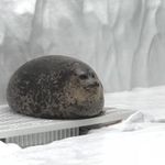 ユーザ写真