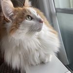 ユーザ写真