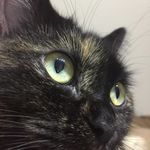 ユーザ写真
