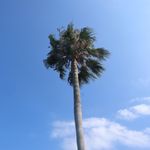 ユーザ写真
