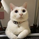 ユーザ写真