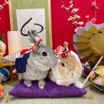 ユーザ写真