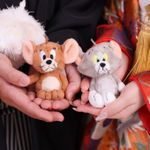 ユーザ写真