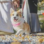 ユーザ写真