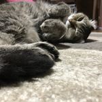 ユーザ写真