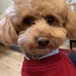 ユーザ写真