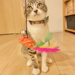 ユーザ写真