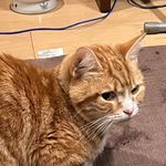 ユーザ写真