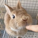 ユーザ写真