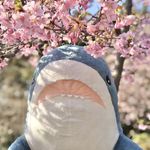 ユーザ写真