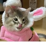 ユーザ写真