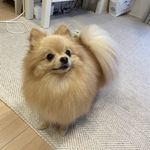 ユーザ写真