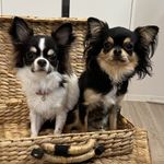 ユーザ写真