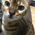 ユーザ写真