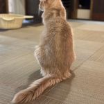 ユーザ写真