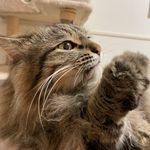 ユーザ写真