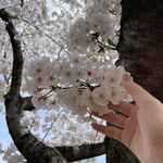 ユーザ写真