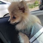 ユーザ写真