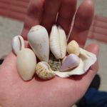 ユーザ写真