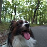 ユーザ写真