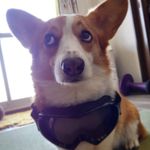 ユーザ写真