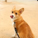 ユーザ写真