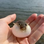ユーザ写真