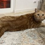 ユーザ写真