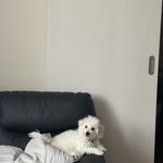ユーザ写真